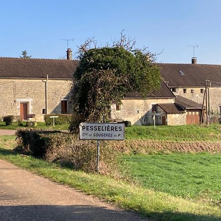 Villa Longere Campagne 10 Pers. Proche Guedelon Sougeres-en-Puisaye Exterior foto